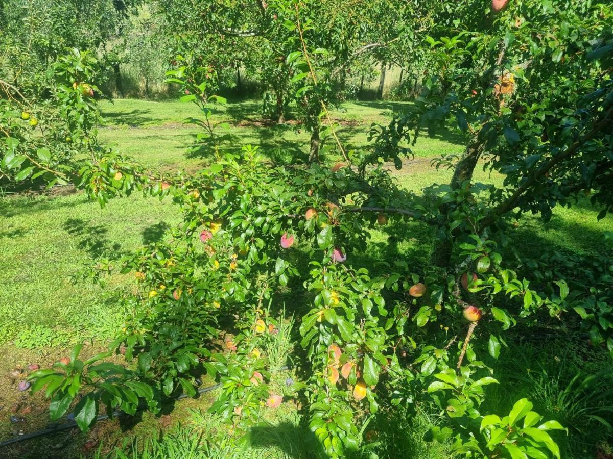 Savana Estate Poukawa ภายนอก รูปภาพ